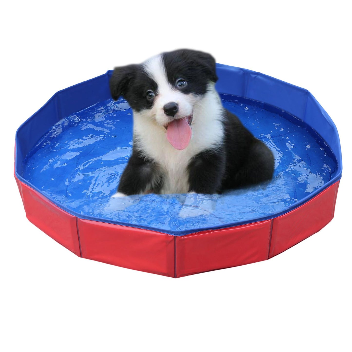 Pet Pool Dog Pool Cat Sand Table Bathtub Collapsible Pool Kimchi Pool Hot On Amazon