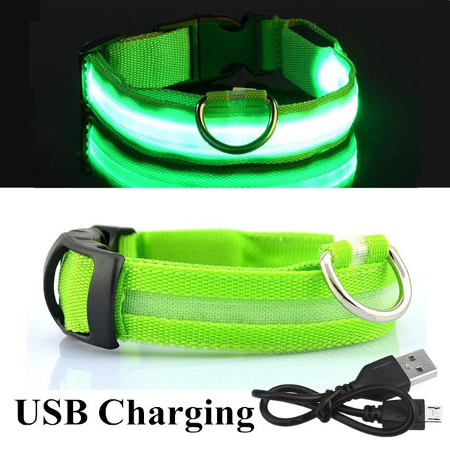 USB Charging Led Dog Collar Anti-Lost Luminous Flashing