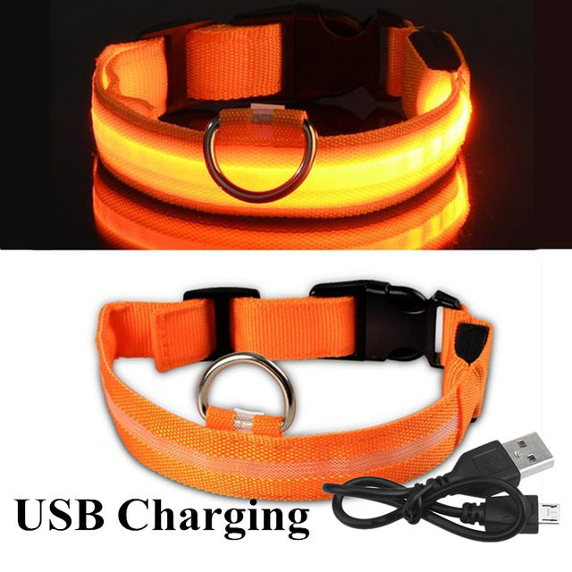 USB Charging Led Dog Collar Anti-Lost Luminous Flashing