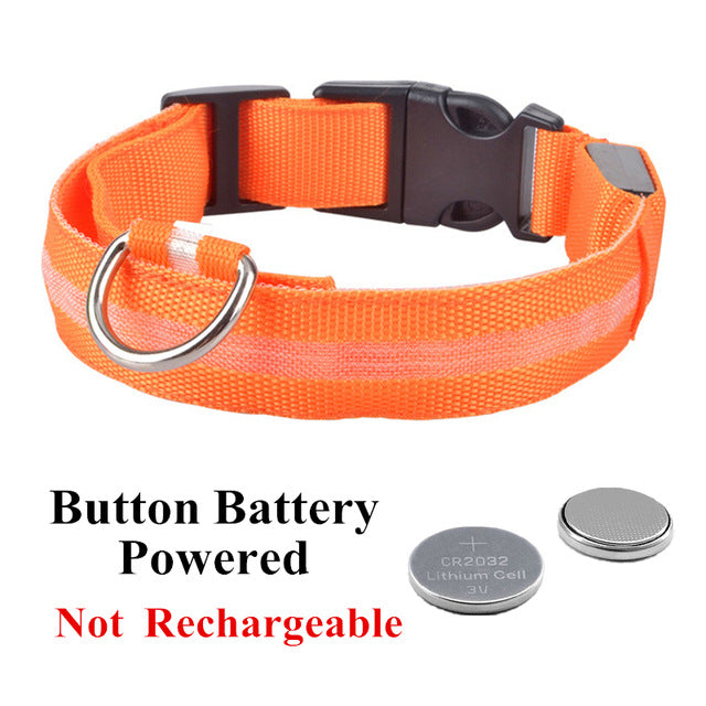 USB Charging Led Dog Collar Anti-Lost Luminous Flashing
