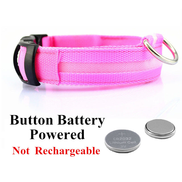 USB Charging Led Dog Collar Anti-Lost Luminous Flashing