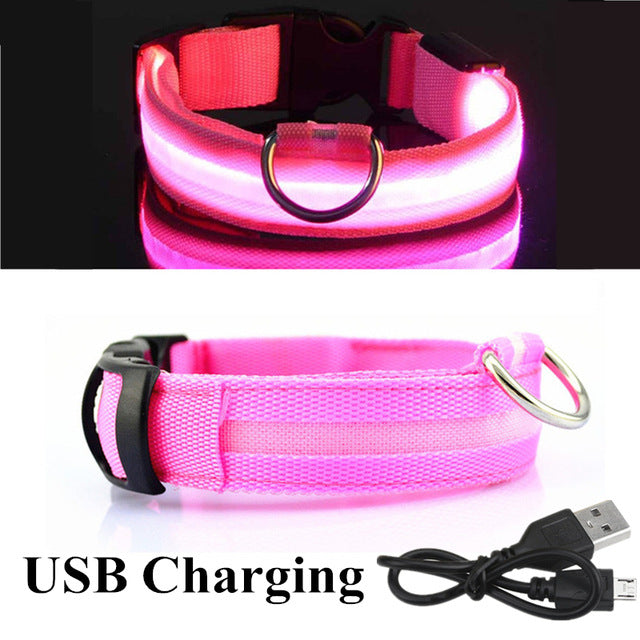 USB Charging Led Dog Collar Anti-Lost Luminous Flashing
