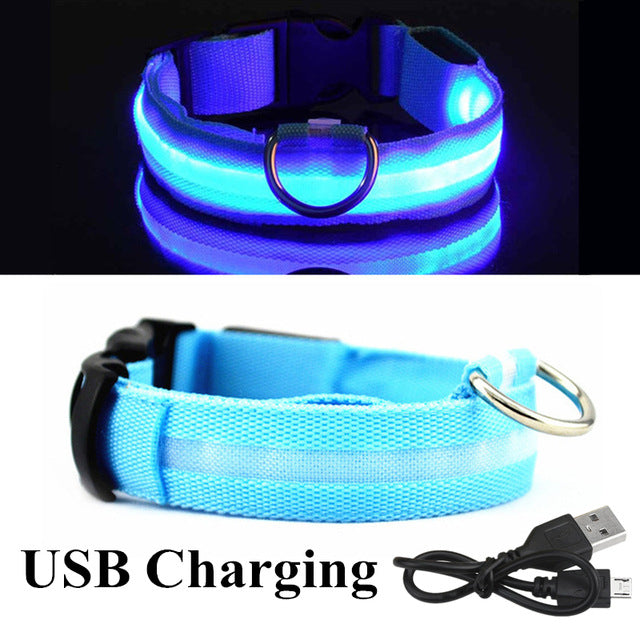 USB Charging Led Dog Collar Anti-Lost Luminous Flashing
