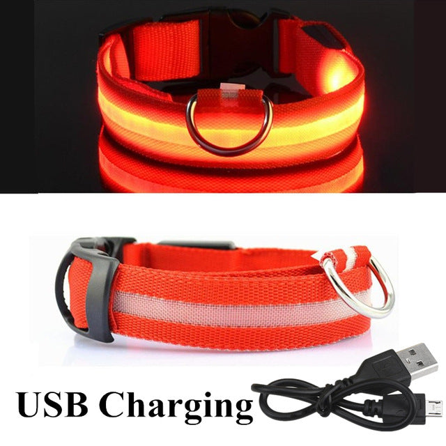USB Charging Led Dog Collar Anti-Lost Luminous Flashing