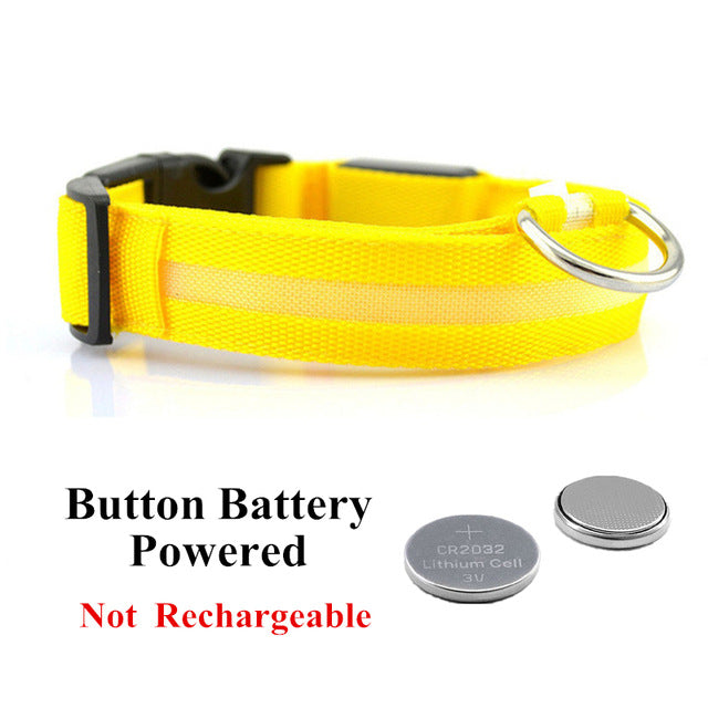 USB Charging Led Dog Collar Anti-Lost Luminous Flashing