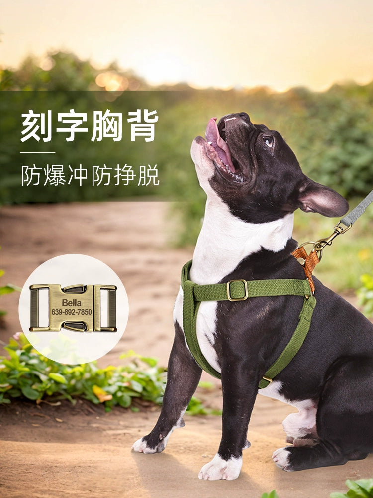Dog Leash, Dog Chest And Back With Engraving, Anti-lost, Small Dog Teddy Harness, Medium Dog, Corgi Vest Style Dog Leash