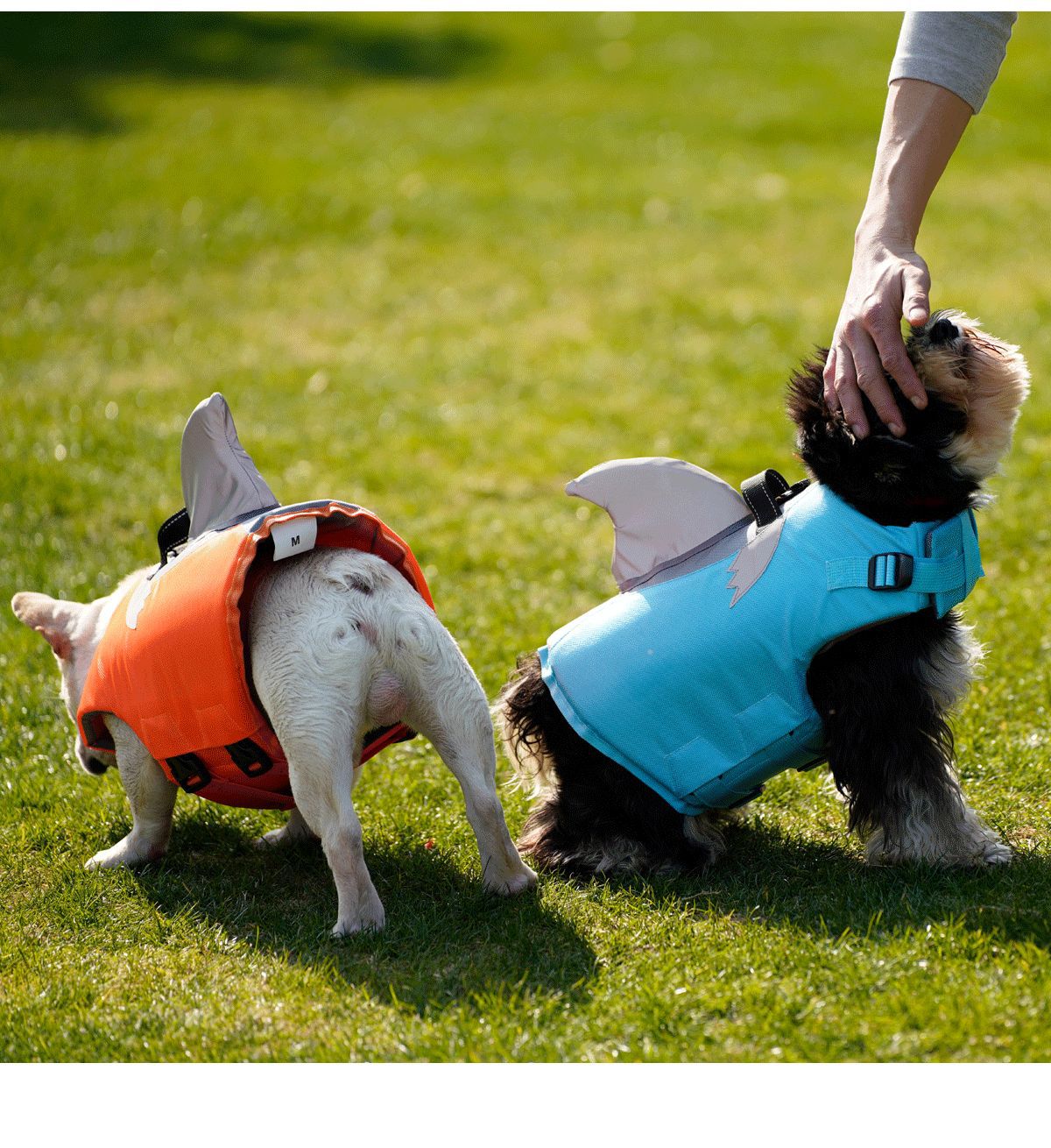 New Flying Shark Fin Life Jacket Dog Swimming Suit Outdoor Pet Sports Suit Dog