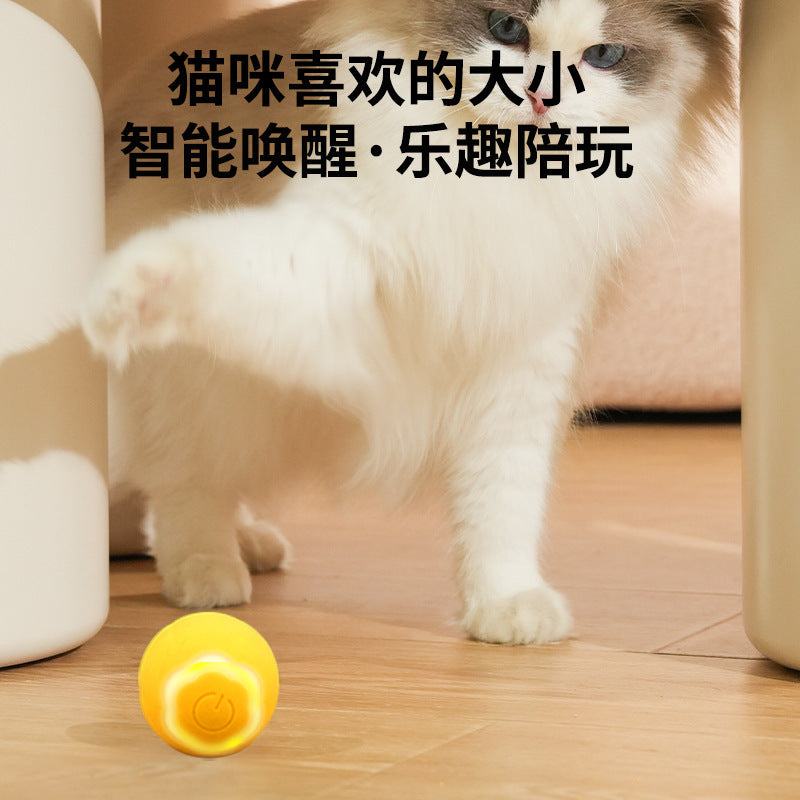 Pet Smart Rolling Ball Cat Toy Ball Relieves Boredom Self-Hi Funny Cat Stick Bite Resistant Pet Toy Ball