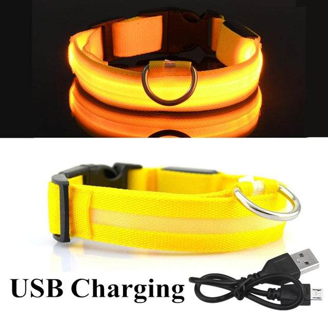 USB Charging Led Dog Collar Anti-Lost Luminous Flashing
