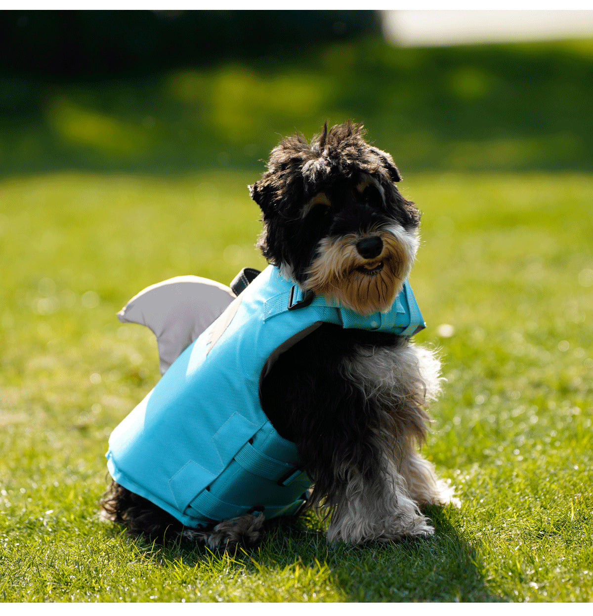 New Flying Shark Fin Life Jacket Dog Swimming Suit Outdoor Pet Sports Suit Dog