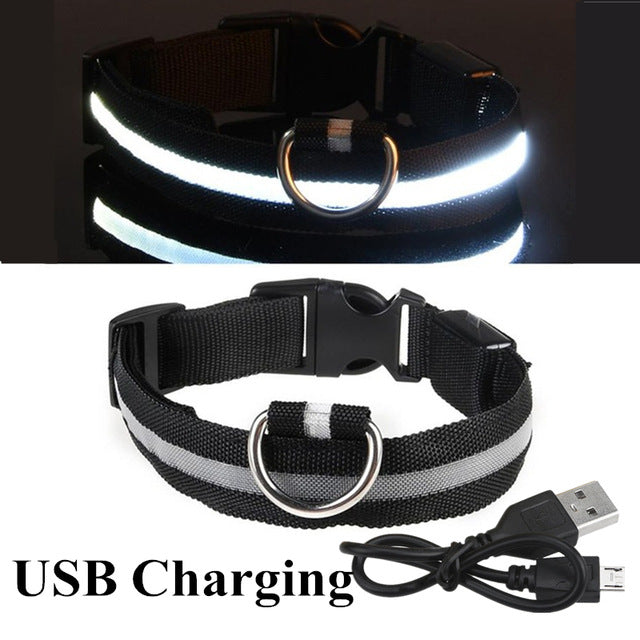 USB Charging Led Dog Collar Anti-Lost Luminous Flashing