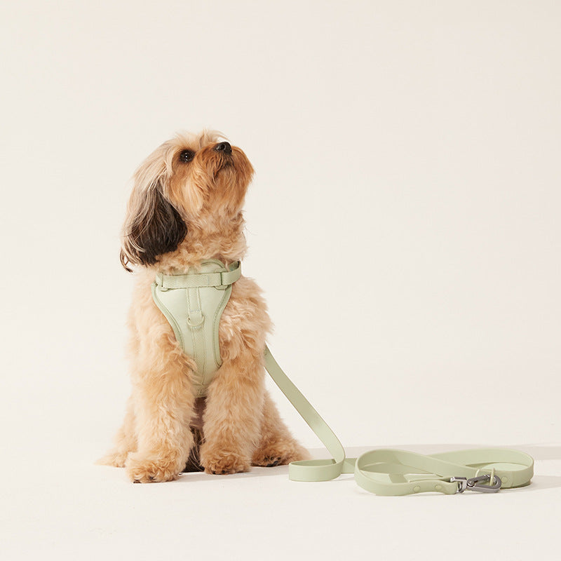 New Macaron Dog Chest And Back Leash PVC Anti-bite Dog Rope Wild One Pet Harness