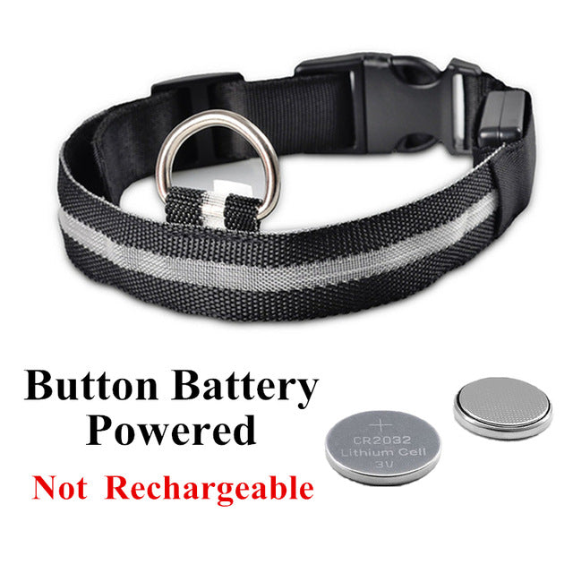 USB Charging Led Dog Collar Anti-Lost Luminous Flashing