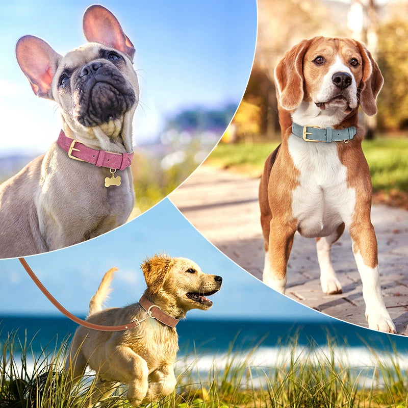 Dog Collar Medium-sized Dog Dog Collar French Dou Kejin Hair Double-layer Leather Dog Collar