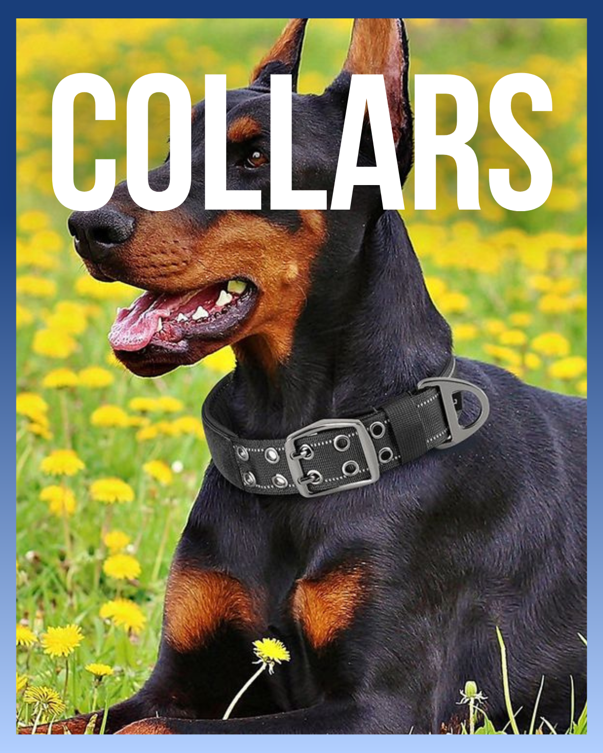Collars