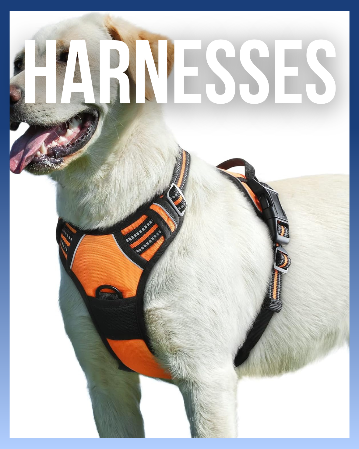 Harnesses