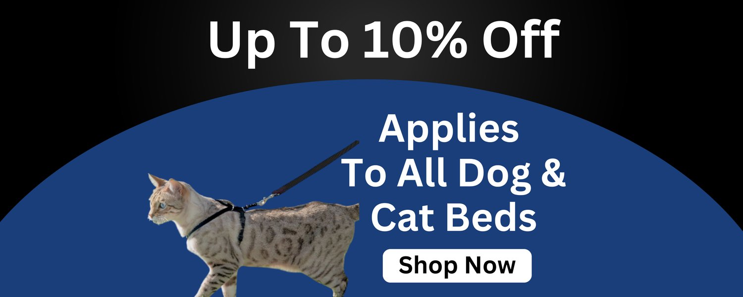10% Off Leashes