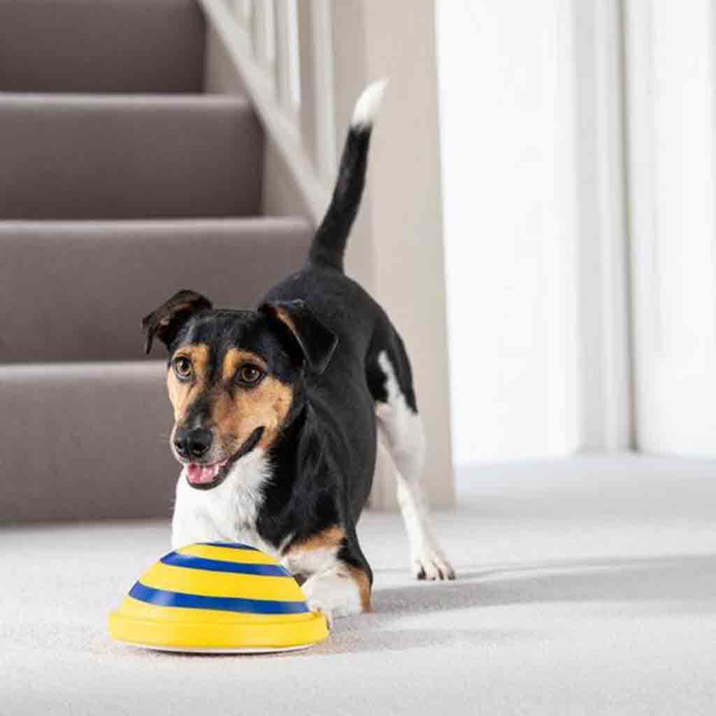 Sounding Disc Woof Glider Soft &amp; Safe Indoor Pet Dogs Play Toy Pets Unique Interacts Entertainment Toys
