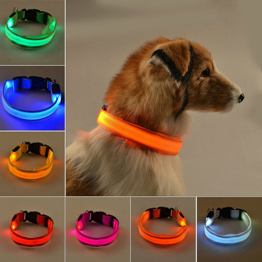 USB Charging Led Dog Collar Anti-Lost Luminous Flashing