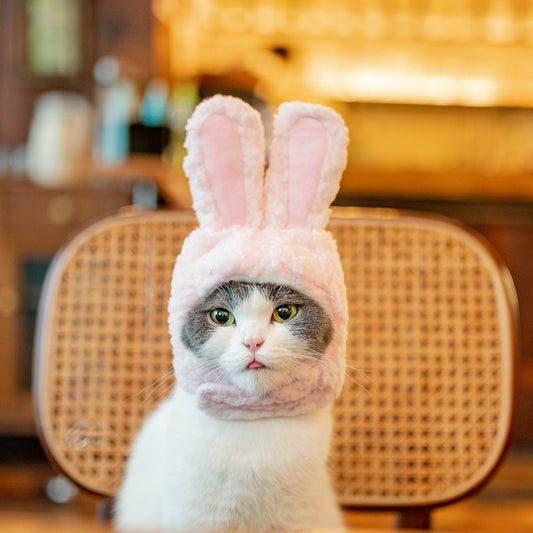 Cat Rabbit Headgear Internet Celebrity Small Ear Hat English Short Teddy Rabbit Ear Headgear Cotton Velvet Cat Hat