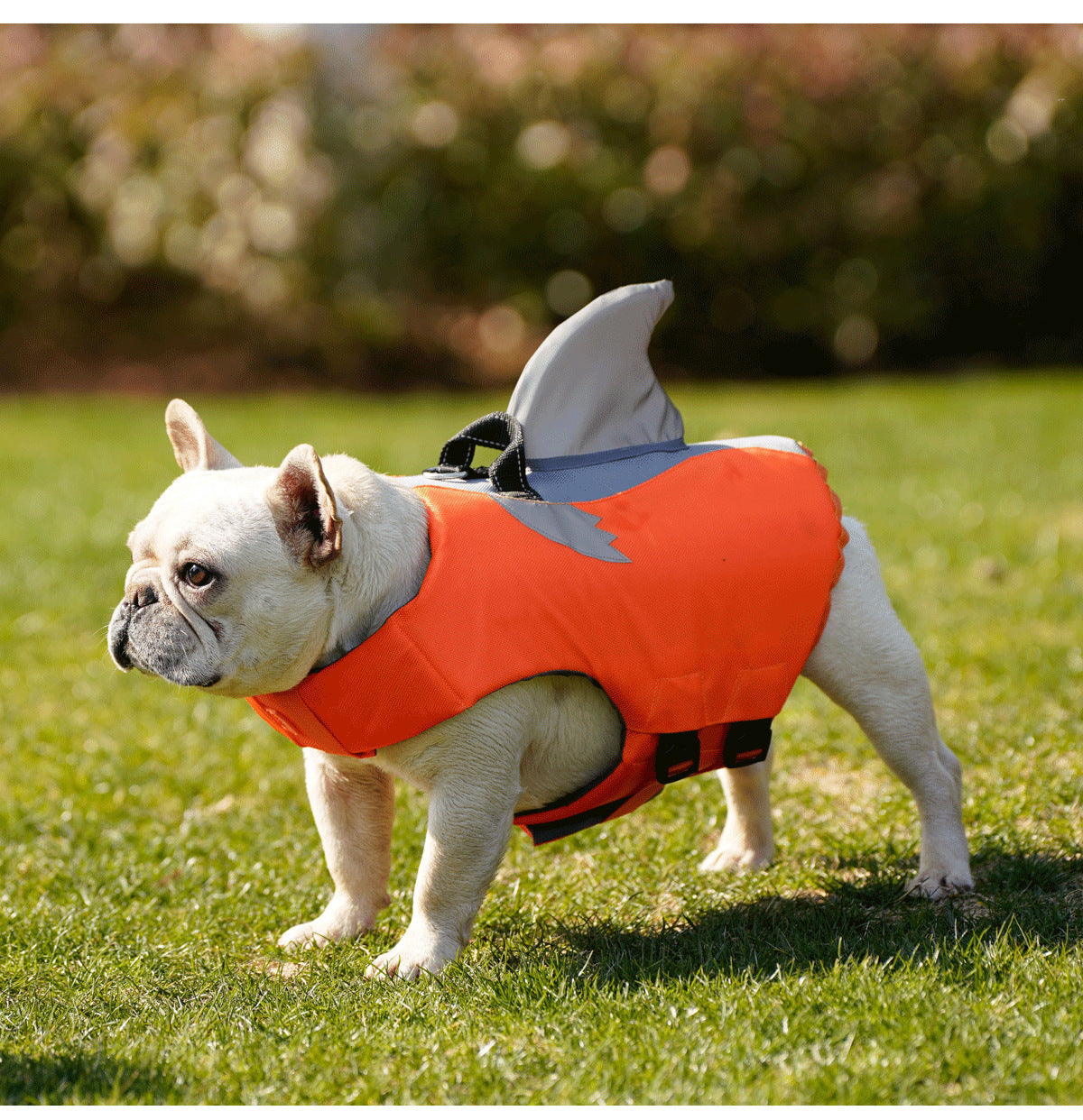 New Flying Shark Fin Life Jacket Dog Swimming Suit Outdoor Pet Sports Suit Dog